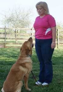 Victory K9 Training - Jennifer Pickett working with dog