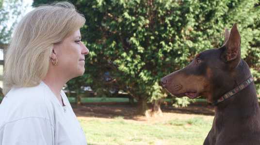 Victory K9 Training - Seeing Eye to Eye with your dog