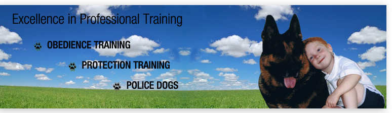 Victory K-9 Training, Palm Coast, FL