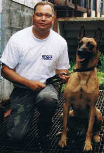 Police Canines